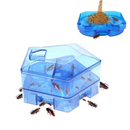 Roach Trap™ Trampa Para Cucarachas