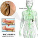 ÓnixBalance™ Aretes Magnéticos de Drenaje Linfático