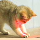 LaserCat™ Collar Láser Para Gatos | Juguete Interactivo 😺